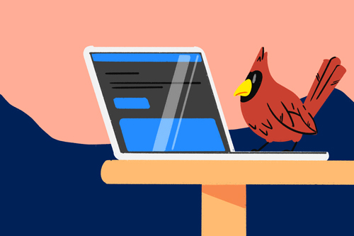 Illustration of a laptop with a bird next to it - Cookiebot