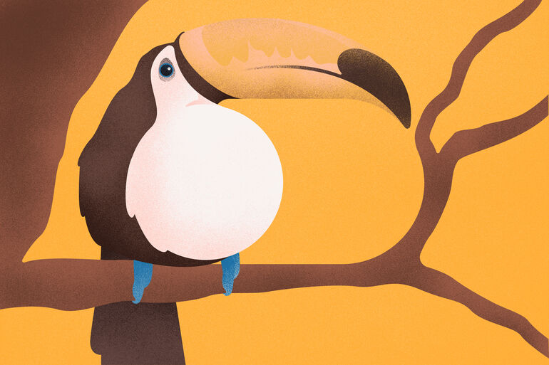 Illustration of a Toucan - Cookiebot