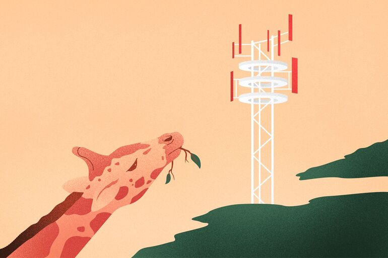 Illustration of a giraffe eating leaves with a signal tower in the background - Cookiebot